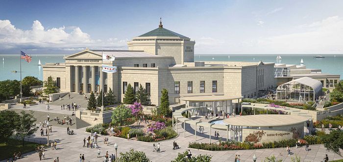 Shedd Aquarium Presents Renovation Plans to Committee on Design